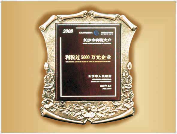 2008年长沙市利税大户