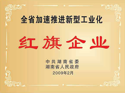 2009年全省加速推进新型工业化红旗企业