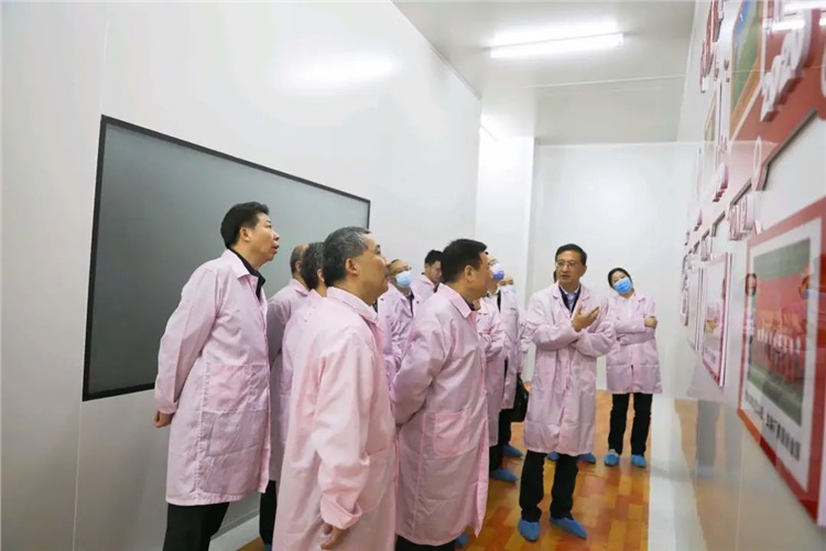 湖南省副省长陈飞调研电科装备长沙片区