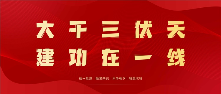市场突破有亮点，保障生产在行动！  大干三伏天，建功在一线